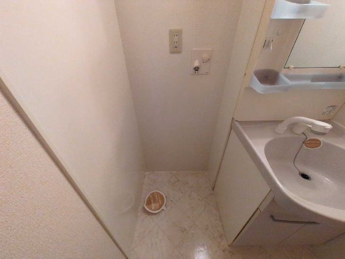 ローズコート加茂の洗面所