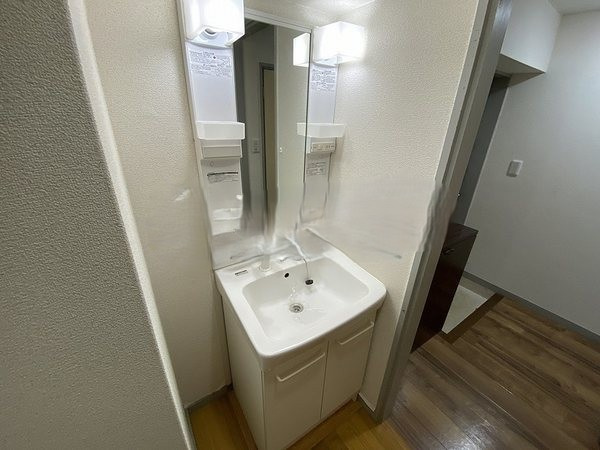 ハイランド松ヶ枝【キャッシュバック対象物件】の独立洗面台