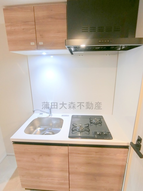 レガリス蒲田のキッチン|2口ガスシステムキッチン