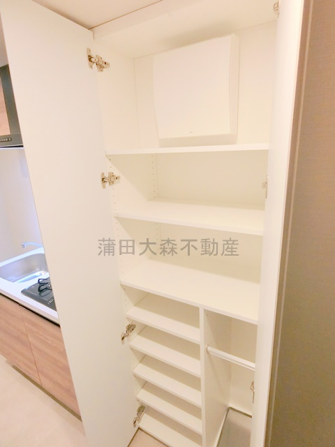 レガリス蒲田の収納|玄関収納