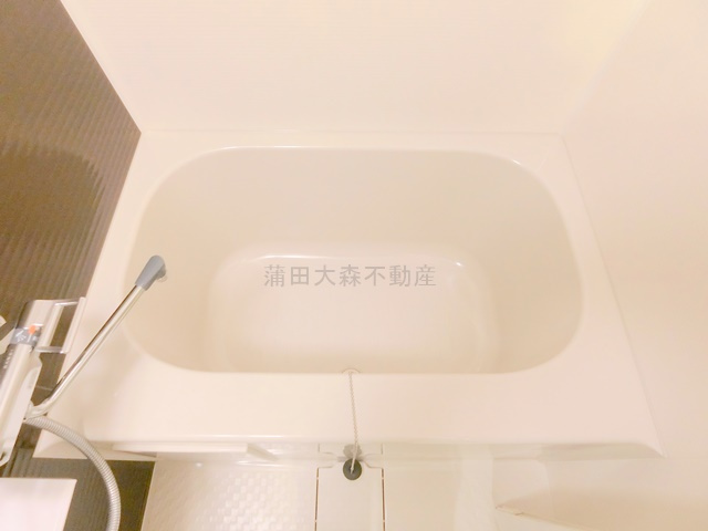 レガリス蒲田の浴室