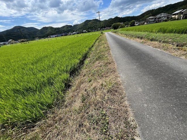 土地　福富天神前の前面道路含む現地写真|北側道路