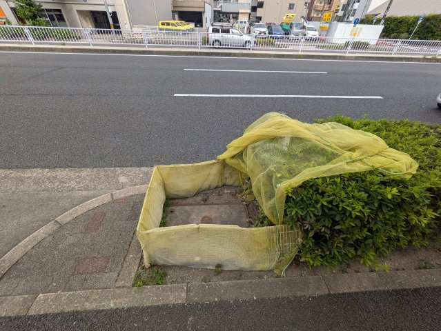 シャトー藤｜名古屋市の賃貸ならMy賃貸のその他共用部分|シャトー藤