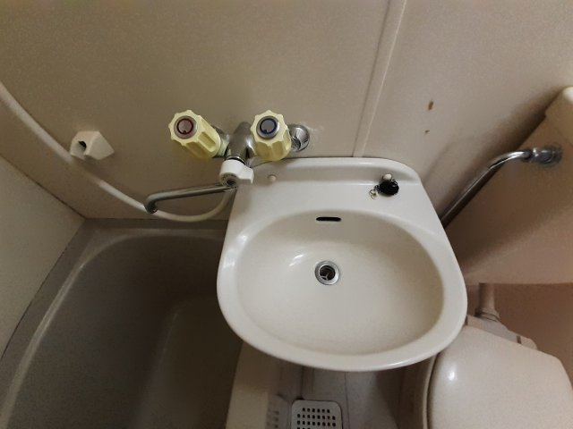 あるゾウパレス溝端町の洗面所