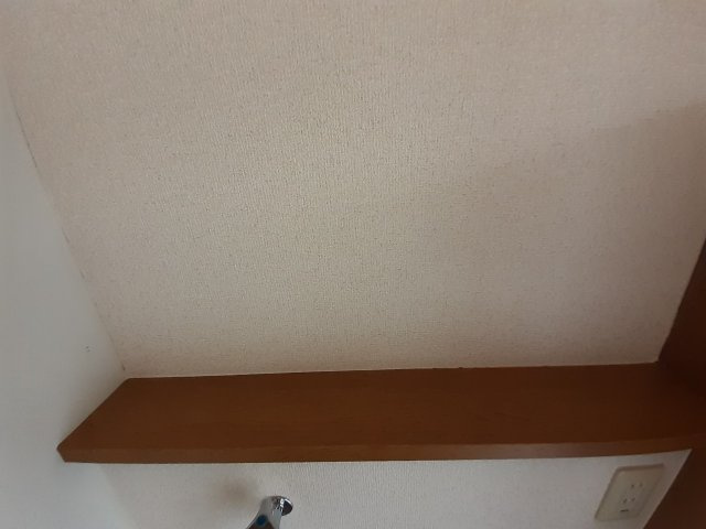 あるゾウパレス溝端町の収納