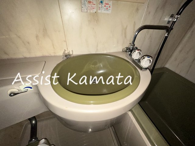 ストーンリバーハイツⅠの洗面所