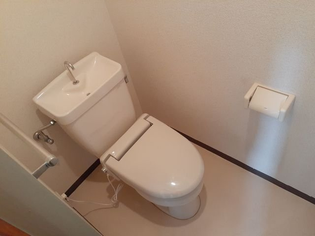 グリーンアイランドＡのトイレ|トイレです