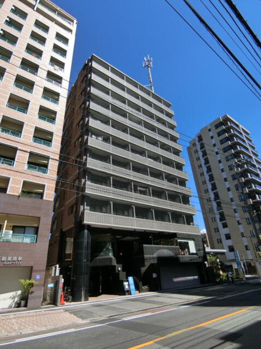 ダイナコート平尾山荘通りの外観