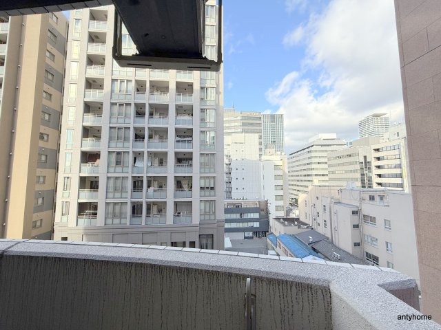 セレニテ本町グランデ　仲介手数料無料のその他