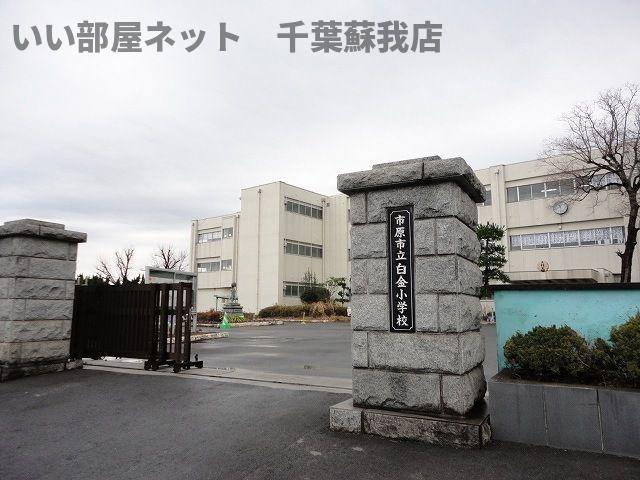 サンシャインのその他