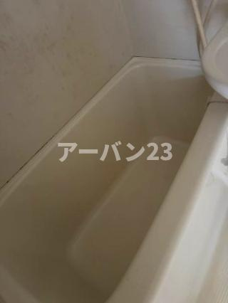 グリーンマンションの浴室