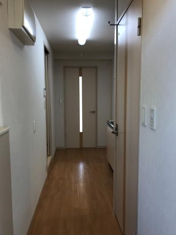 ワイズ　パラシオンの玄関|廊下
