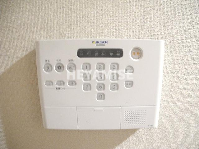 サイフィオーレのその他
