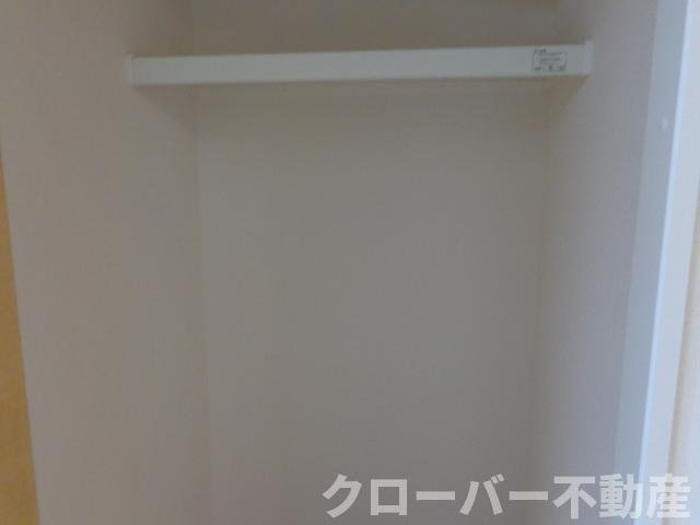 ブルーコスモの収納|クローゼット