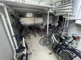 平面駐車場