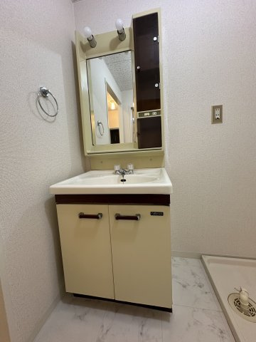 セレクト山之手の洗面所