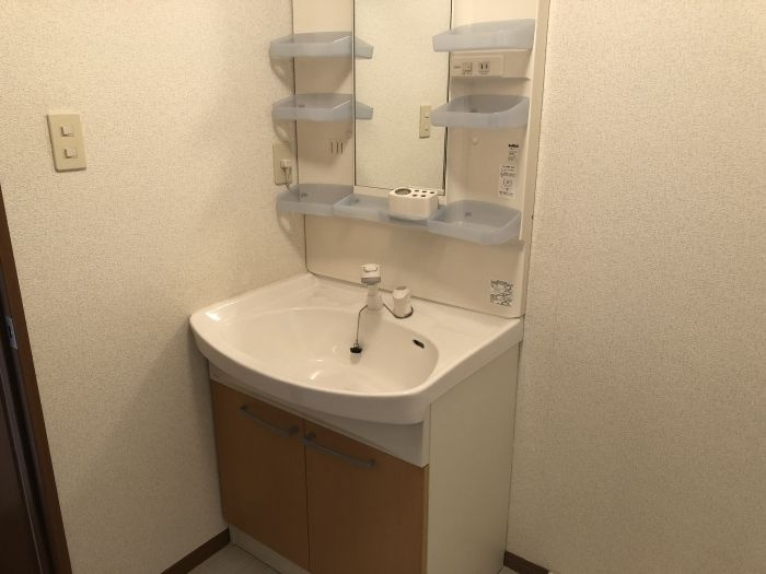 リビングタウン湖都が丘　Ｃ棟の洗面所