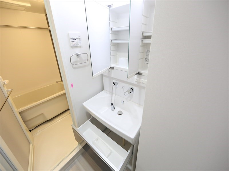 名古屋市中区大須２丁目の賃貸マンションの洗面所