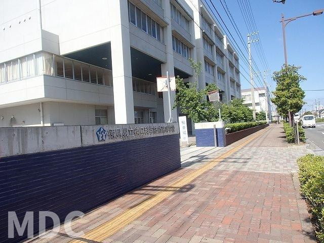 徳島市北島田町１丁目のアパートの周辺|科学技術高等学校まで1600m