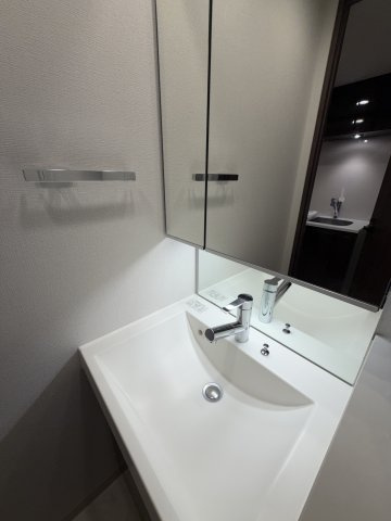 コンシェリア品川南 ＴＨＥ ＧＲＡＮＤ ＲＥＳＩＤＥＮＣＥの洗面所|脱衣スペースもあります