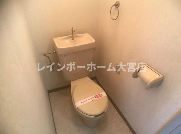 グレースカーサⅢのトイレ