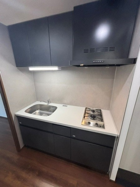 Ｔｈｅ　Ｓｈｉｎａｇａｗａ　Ｅａｓｔ　Ｒｅｓｉｄｅｎｃｅのキッチン|きれいなキッチンです