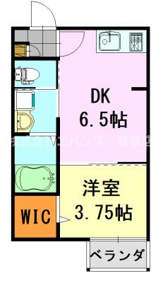 【間取り】 | CAREL浜野A（キャレル）