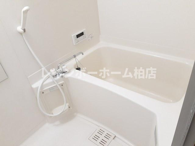 【仲介手数料：50％OFF】対象物件！の浴室|日々の暮らしに欠かせないお風呂です