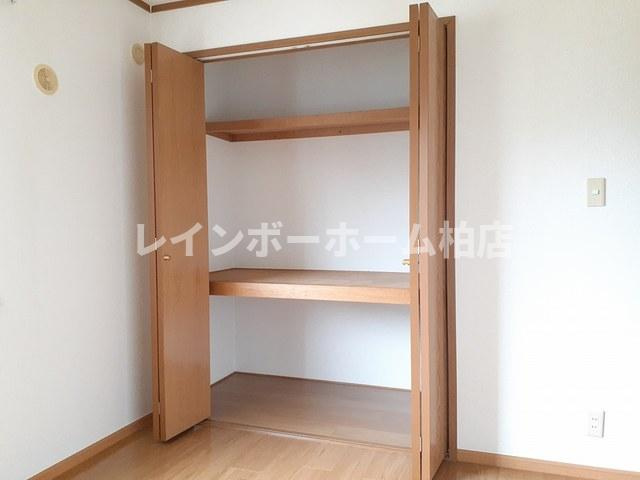 【仲介手数料：50％OFF】対象物件！の収納|ちょっとした収納スペースも充実しています