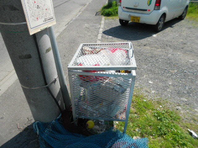 ピーコックホリデーの周辺