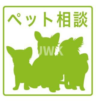 名古屋市中村区竹橋町の賃貸マンションの内装