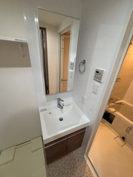 Ｔｈｅ　Ｓｈｉｎａｇａｗａ　Ｅａｓｔ　Ｒｅｓｉｄｅｎｃｅの洗面所|洗面所です