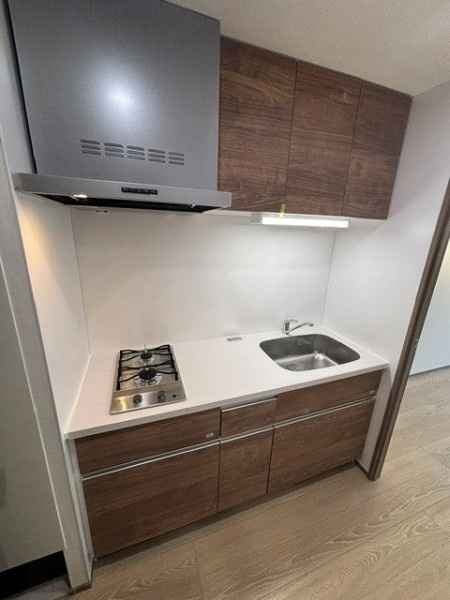 Ｔｈｅ　Ｓｈｉｎａｇａｗａ　Ｅａｓｔ　Ｒｅｓｉｄｅｎｃｅのキッチン|使いやすいキッチンです