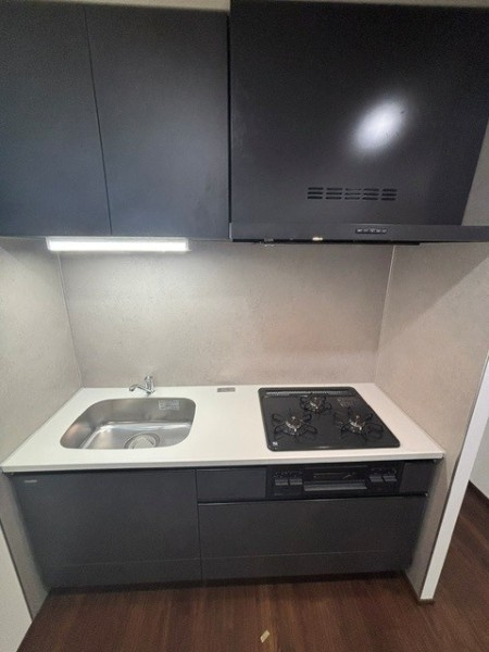 Ｔｈｅ　Ｓｈｉｎａｇａｗａ　Ｅａｓｔ　Ｒｅｓｉｄｅｎｃｅのキッチン|キッチンです