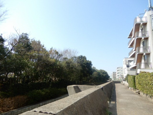 アロハマリーナの展望