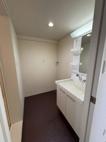 山地マンションの洗面所