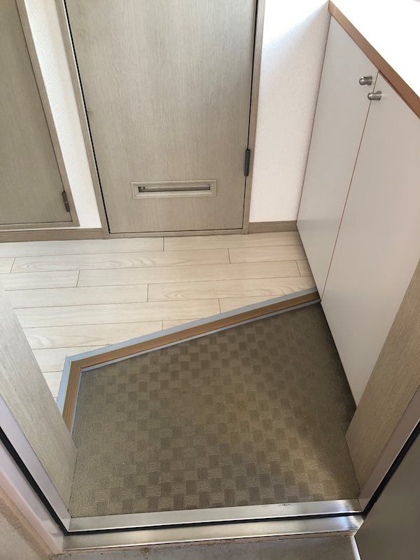 岡山市北区東古松３丁目の賃貸マンションの玄関