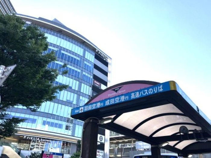 【その他】