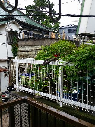 コープブリッジの展望|※別部屋参考写真