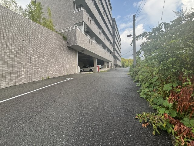 Gran Pino 春日