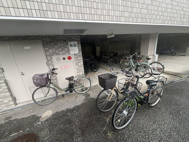 Gran Pino 春日