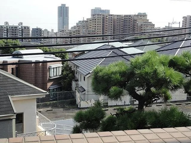 フォレスト岡本の展望