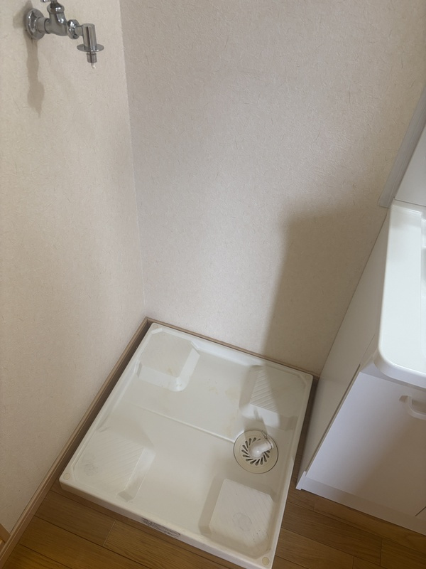 神戸市東灘区甲南町４丁目の賃貸マンションの洗面所
