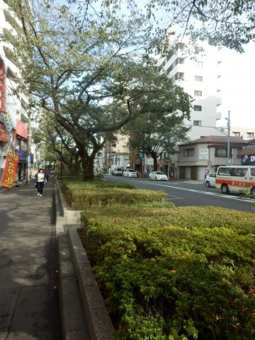 練馬区貫井１丁目のアパートの周辺