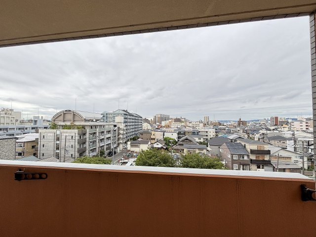 パレス東洋小松館の展望