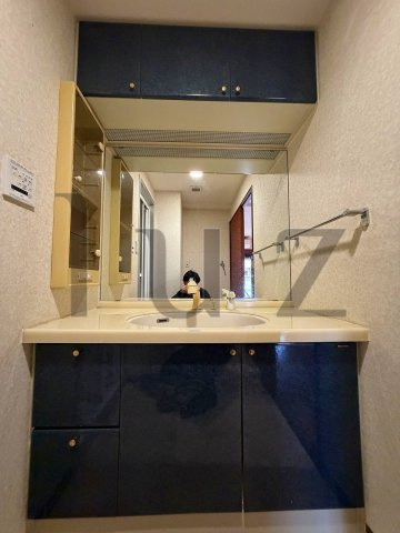 ダイアパレスグランデージ川崎多摩川リバーウイングスの独立洗面台