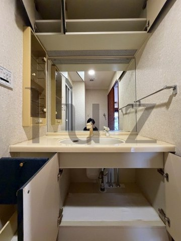 ダイアパレスグランデージ川崎多摩川リバーウイングスの洗面所