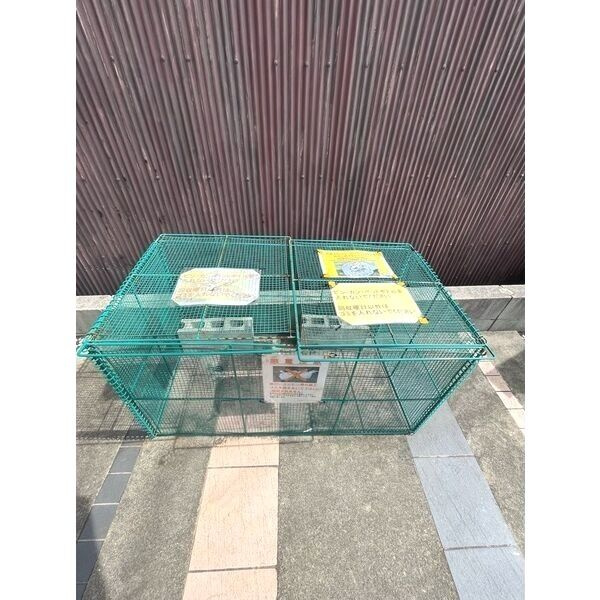 Bright Will 十王町　名古屋市賃貸　仲介手数料無料のその他共用部分