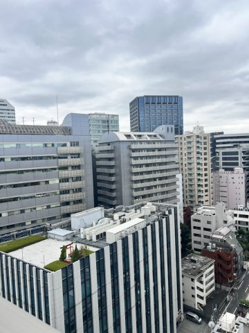 Brillia二番町の展望