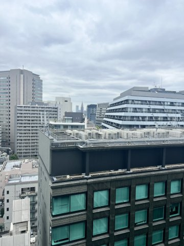 Brillia二番町の展望